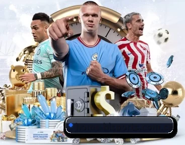 home-bisports.com.cn的故事